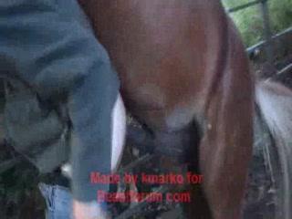 Horny amateur girl fuck horse from back