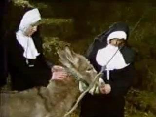 Poor horse porn with beasty nuns