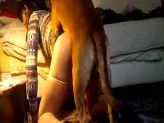 Porn dog fucks girl Zoo Sex