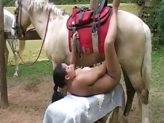 Juicy slut want to be pounded by a horse